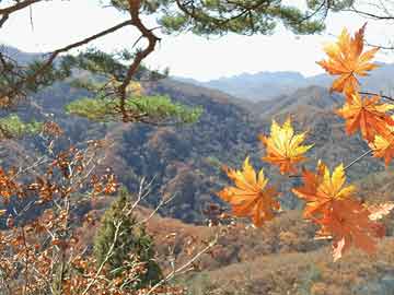 青县塔山双喜，时代繁荣与进步的见证者